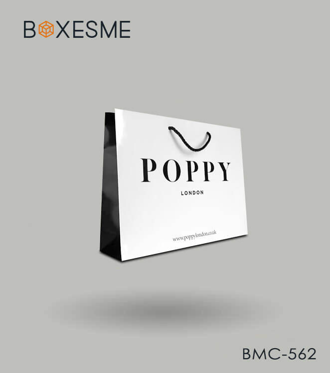 Custom Printed Paper Bags Packaging