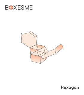 Hexagon (3)